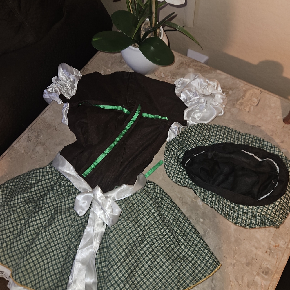 Green and White Costume Dress with A 4 Leaf Clover Hat - Picture 3 of 5